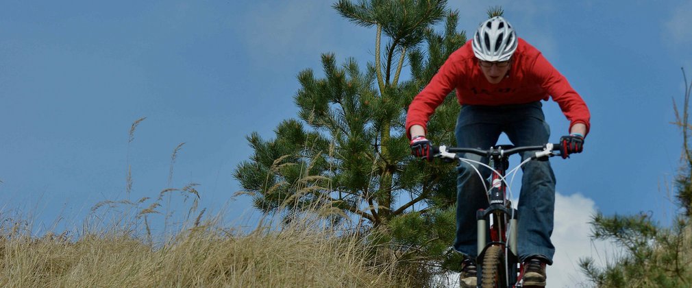 Mountain Biker in the Forest 