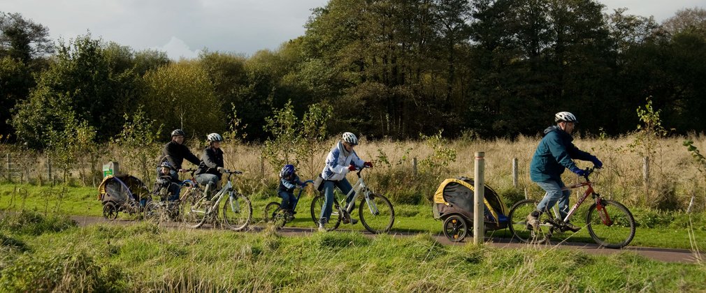 Families enjoying cycling in the forest