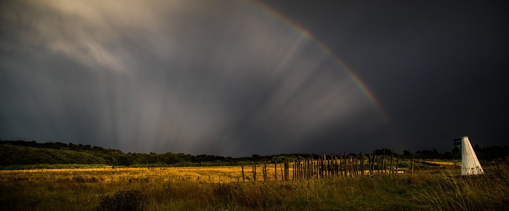 Jeskyns Community Woodland with a rainbow over the fields