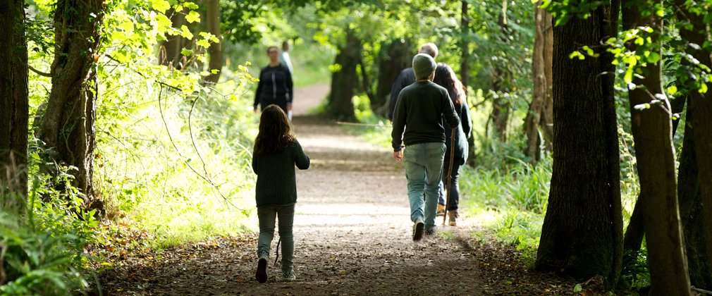 Family walking on a woodland trail