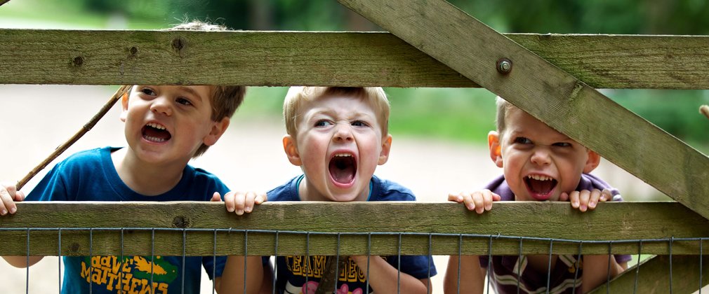 Children enjoying the Forest