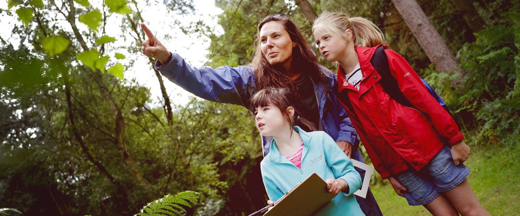 Children learning in the forest