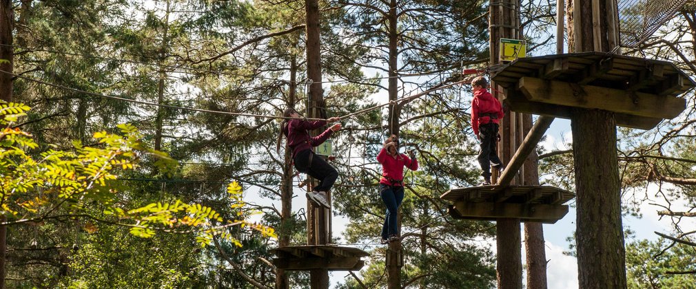 Family on Go Ape tree top adventure