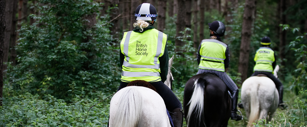 Three horse riders in high vis in the forest