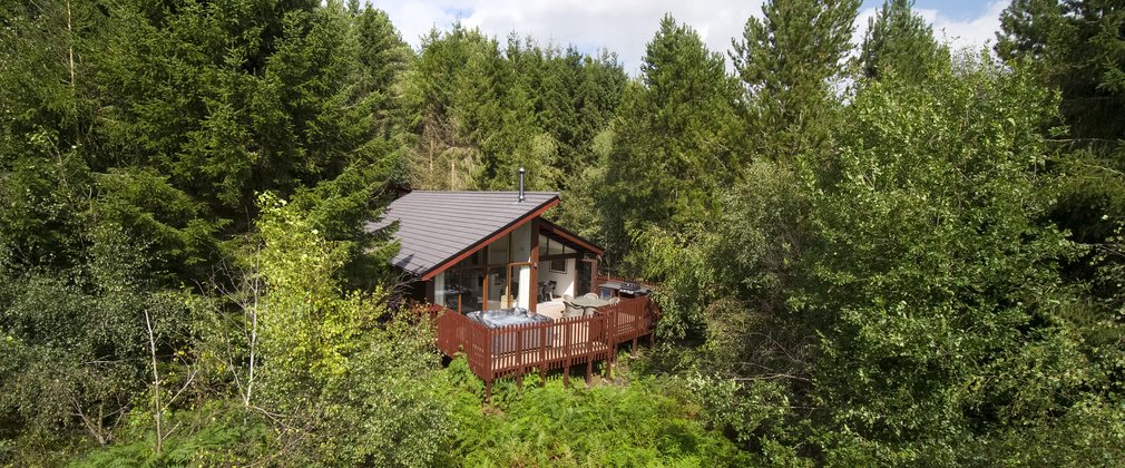 Cabin in the forest