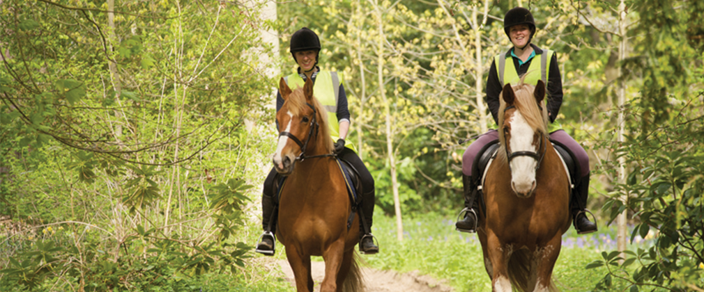 Two horse riders in high vis and helmets on a forest path