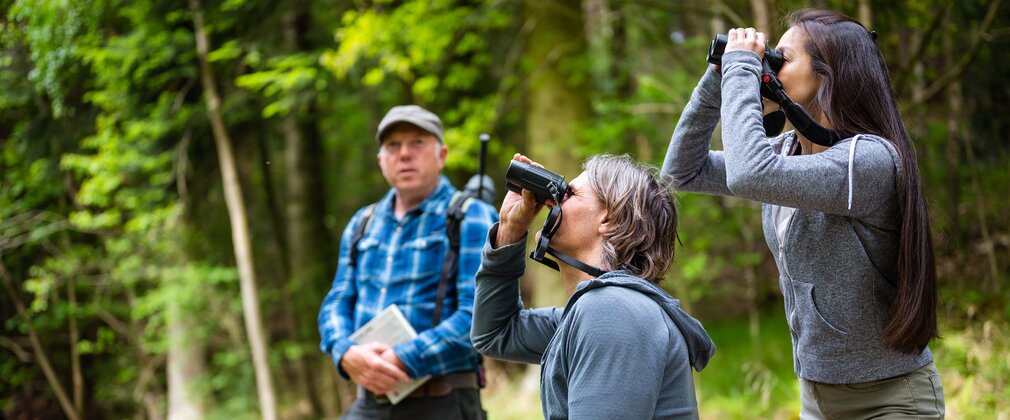 A couple bird spotting through binoculars with a guide in the background