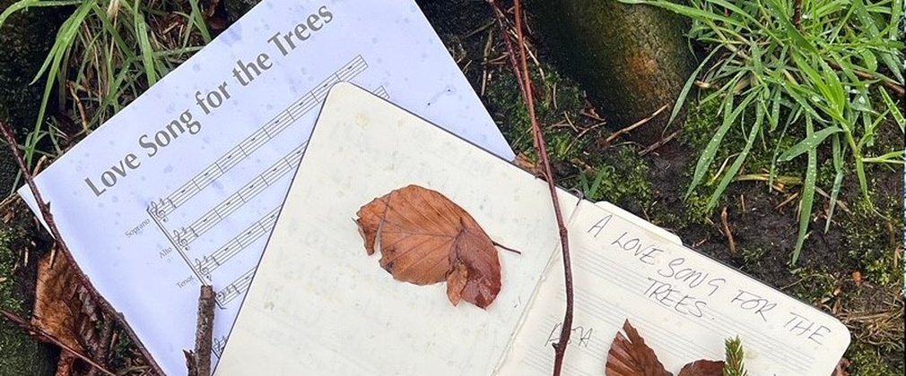 A Love Song for Trees
