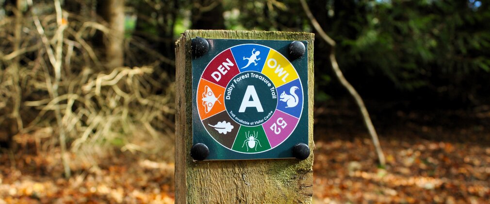 A treasure trail waymarker on a post surrounded by forest