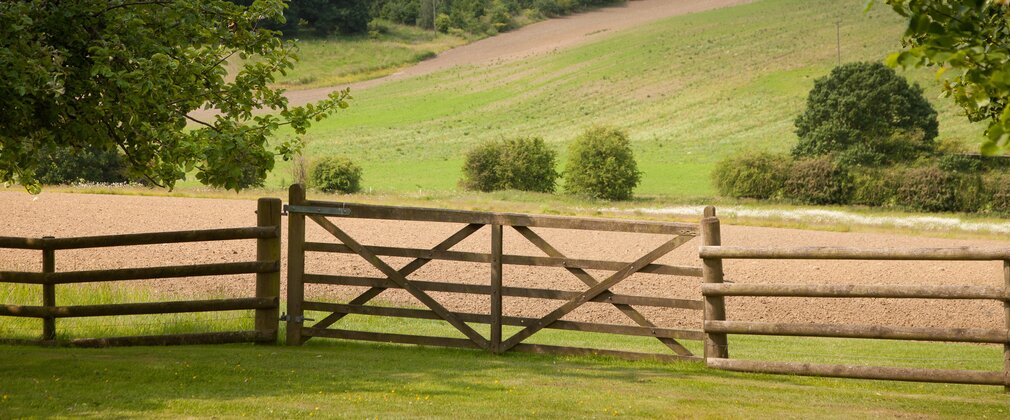 Photo of gate leading to rolling fields, with existing woodland in the far distance