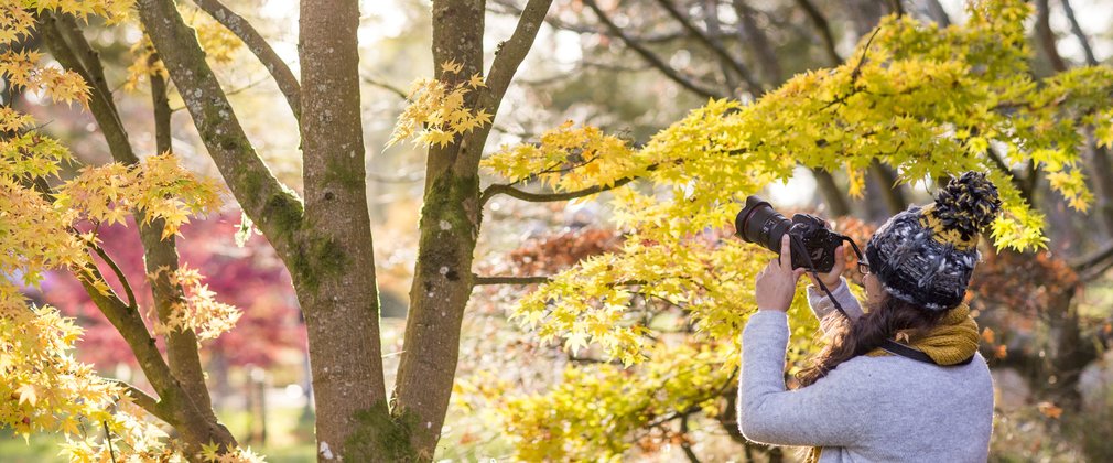 Woman with camera taking photo in autumn 