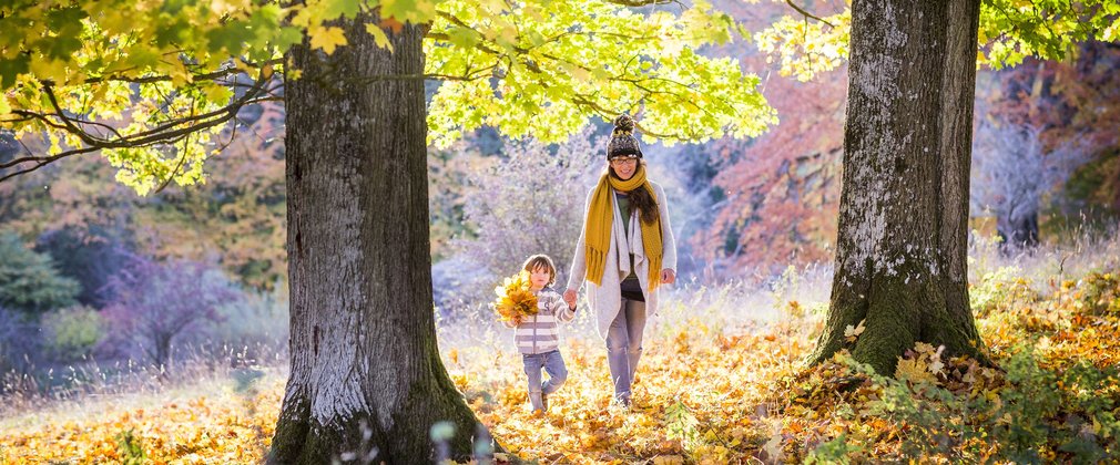 Family on walk through autumn woods 