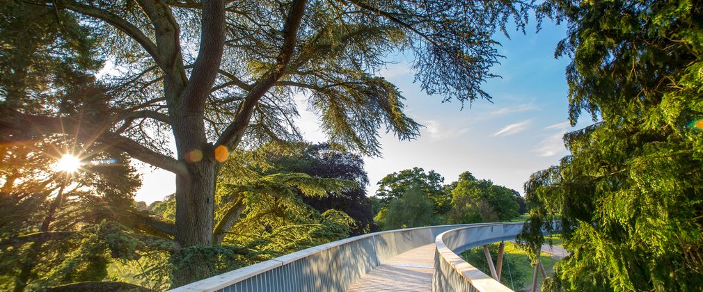 STIHL Treetop Walkway at Westonbirt Arboretum