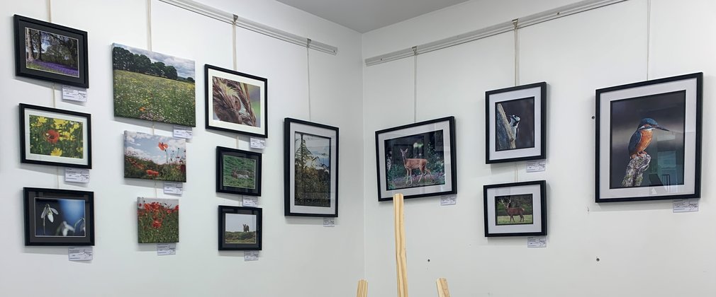 Alice Holt Natures Neighbours Art Exhibition