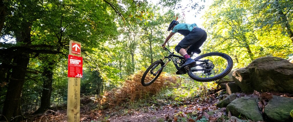 Mountain biker jumping over a rock in a forest