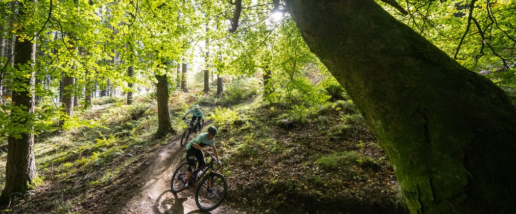 Two riders on a mountain bike trail in spring