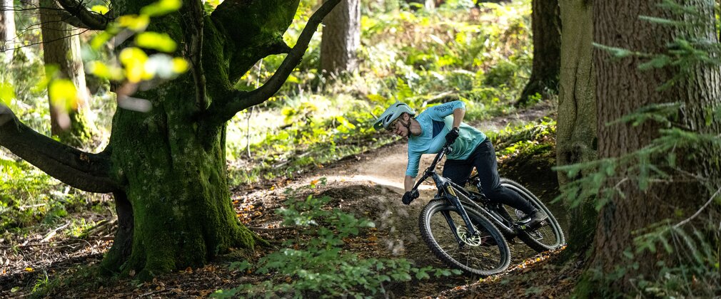 Mountain biker in a forest