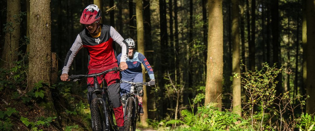 Two mountain bike riders on a singletrack forest trail