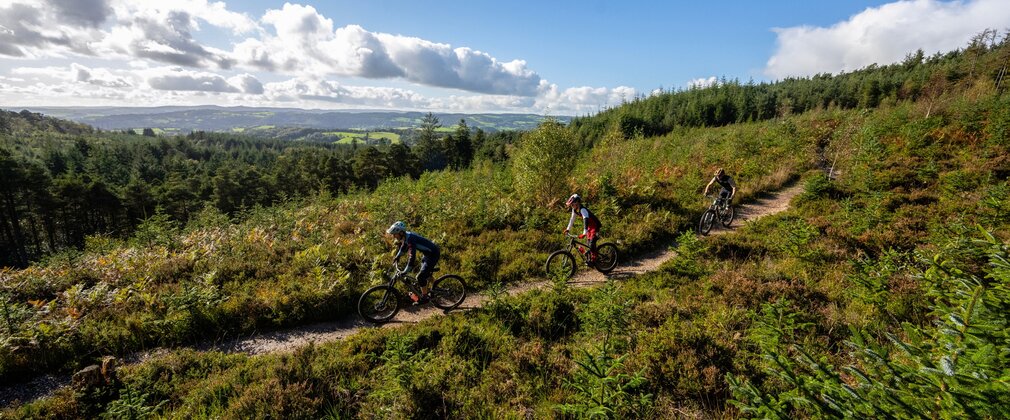 Three cyclists riding down a singletrack cycle trail with a panoramic forest view