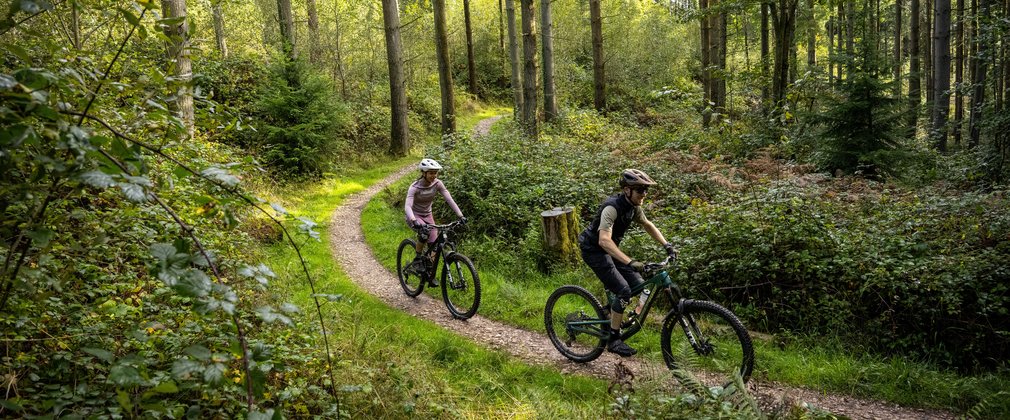 Two cyclists on a flat cycle trail in a conifer forest