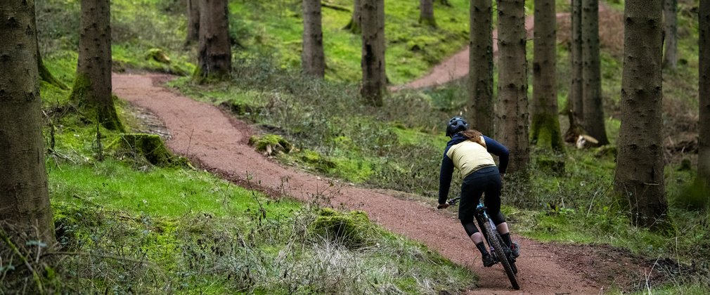 Rider on cycling trail in the Forest of Dean