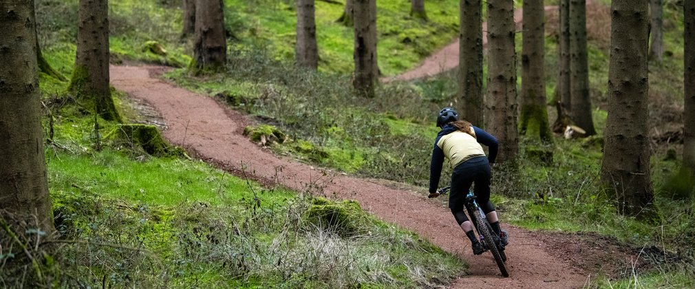 Rider on cycling trail in the Forest of Dean