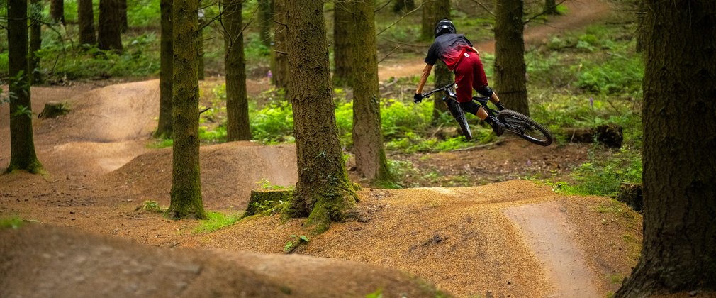 Mountain biker jumping on a trail which winds through the trees