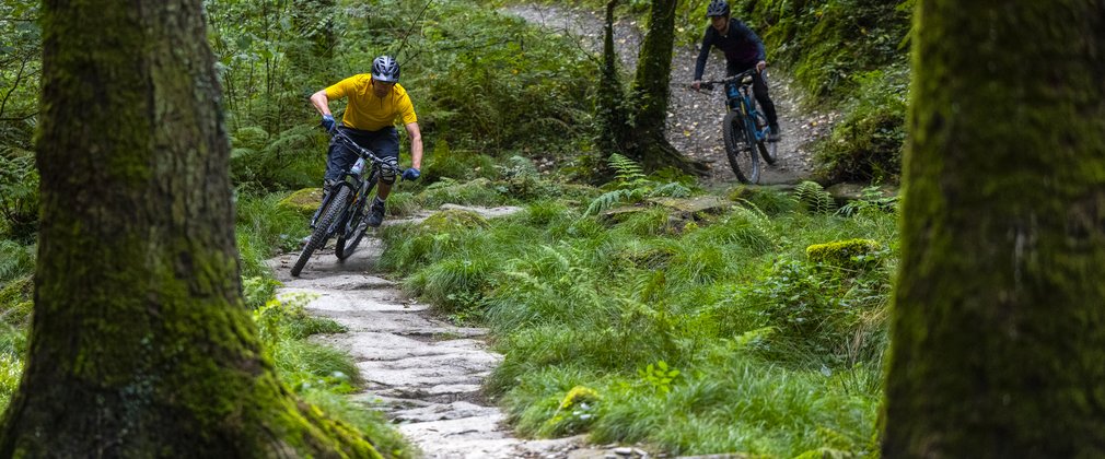 Cycling in forest