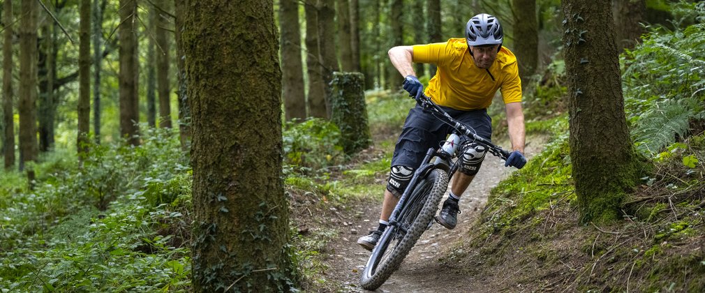 Mountain bike rider between conifer trees