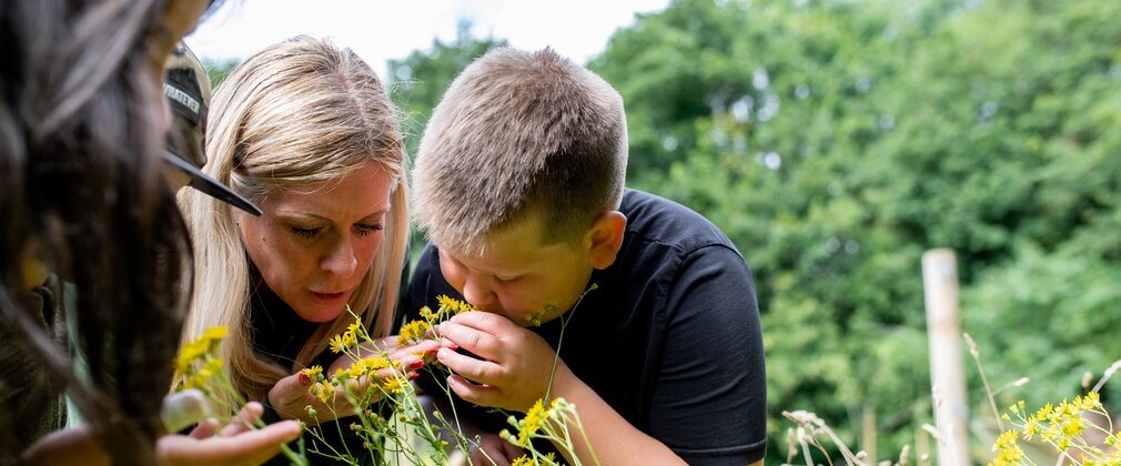 Boy and forest school teacher looking at a plant in the forest