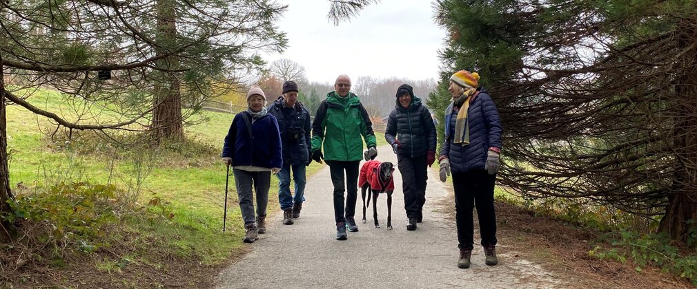 A man in Forestry England branded clothing walking with a group of adults plus one dog.