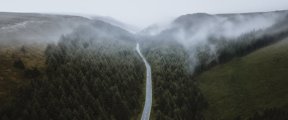 A road passing through Snake Woodlands on a misty day