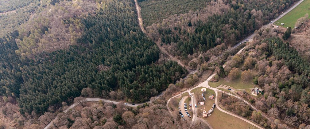 Aerial view of forest