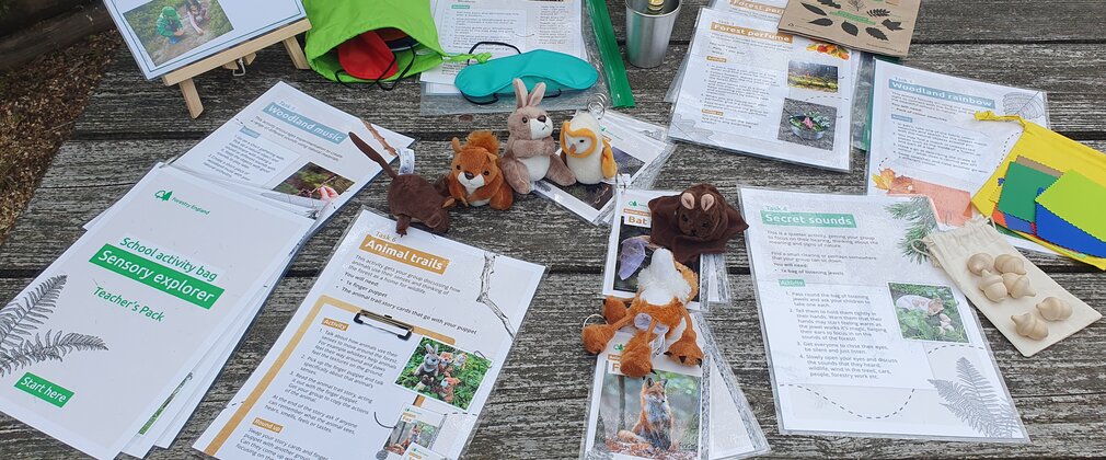 Tabletop display of Forestry England teaching resources