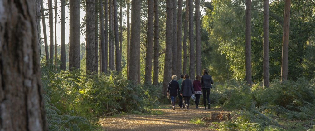 Group of people walk down forest path