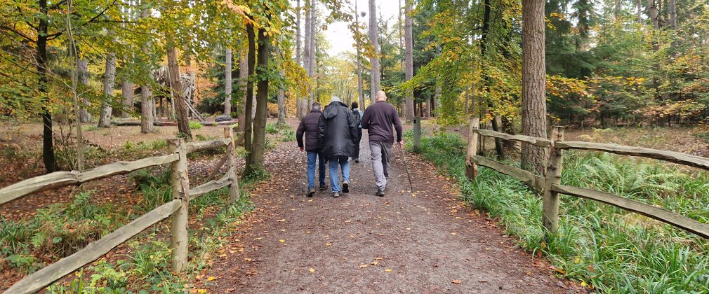 A group of people walking along a forest trail.