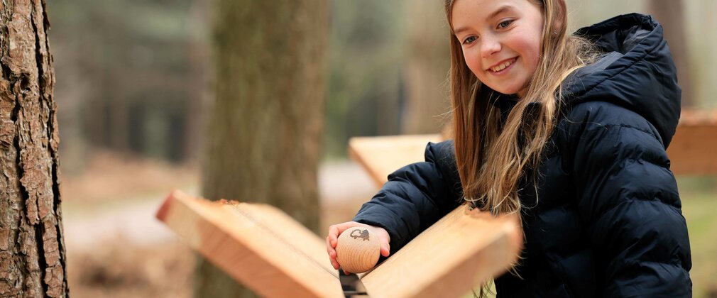 A child playing a wooden marble onto the marble run at Alice Holt Forest