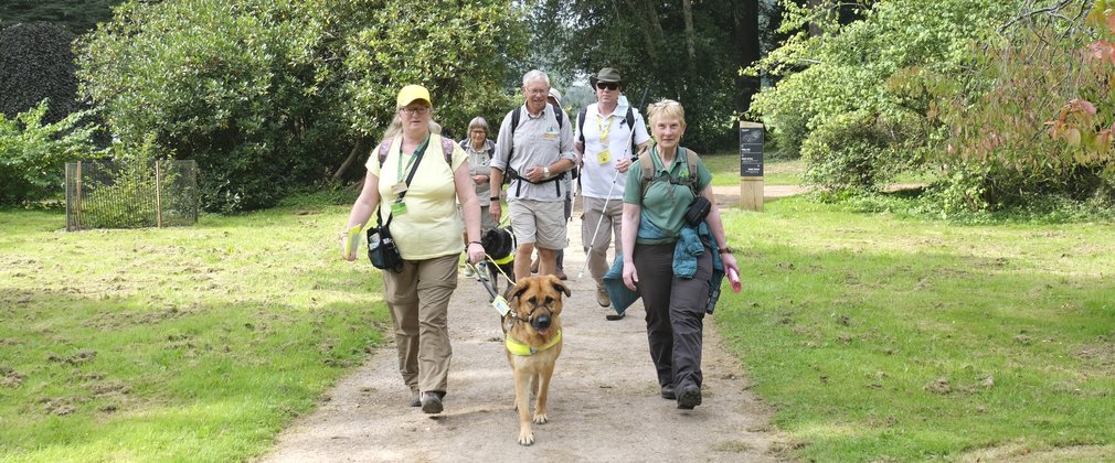 A group are being guided along a path led by a woman in yellow holding on to a guide dog.