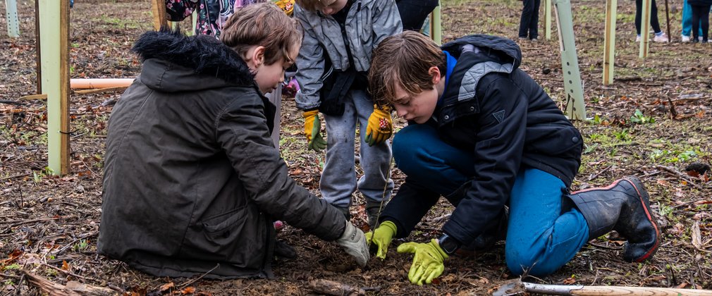 4 children crowd round a small tree they are planting into the ground