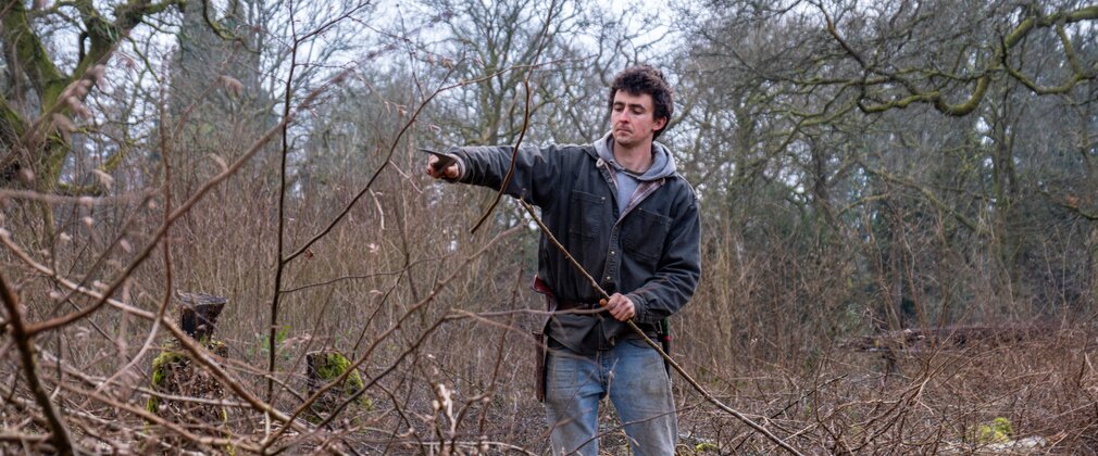 A man stands amoung long hazel sticks that have been coppiced. He holds a scythe to trim the hazel stick.