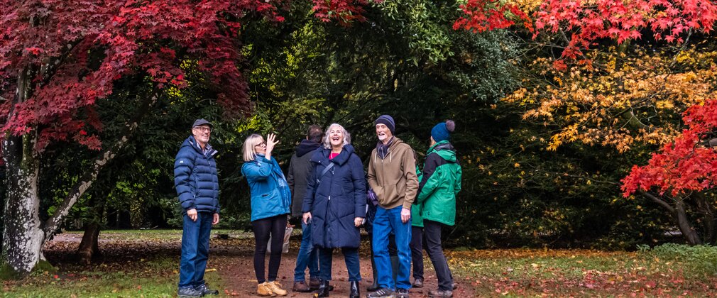 A group of adults on an autumn guided walk admire the rich colour around them.