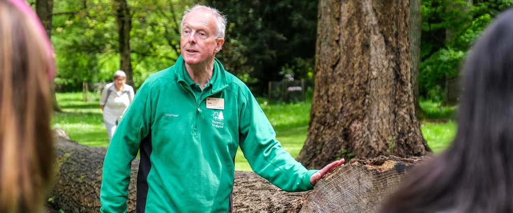 A sensing nature guide in green talks to a group of people, he stands by a felled log, which he has his hand placed on to feel the bark.