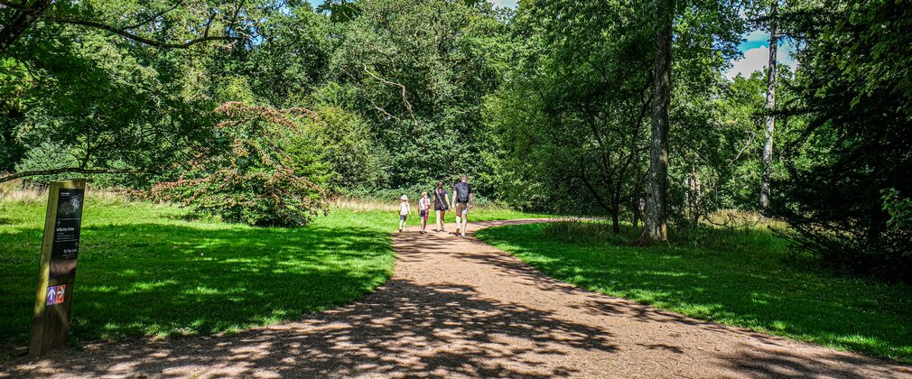 A family walk away from the camera along a brown path through a beautiful woodland with lush green grass and tall trees.