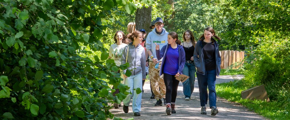 A group of young people walk through a woodland talking to each other.