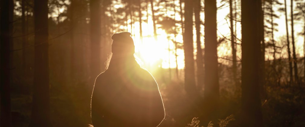 silhouetted person at sunset in an autumn forest 
