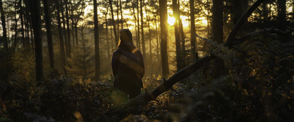 Woman stands in sunshine at dusk, in forest