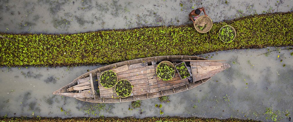 An overhead photo of a boat collecting vegetables from a floating farm