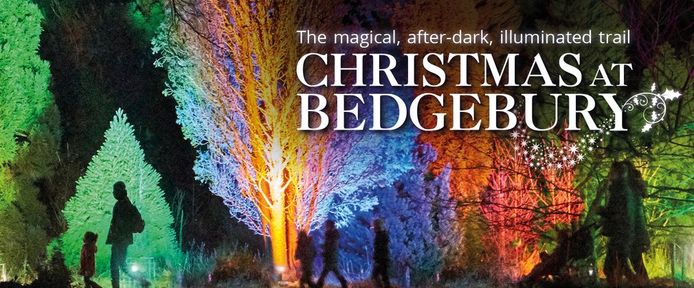 Christmas at Bedgebury header image 2019 1920x800