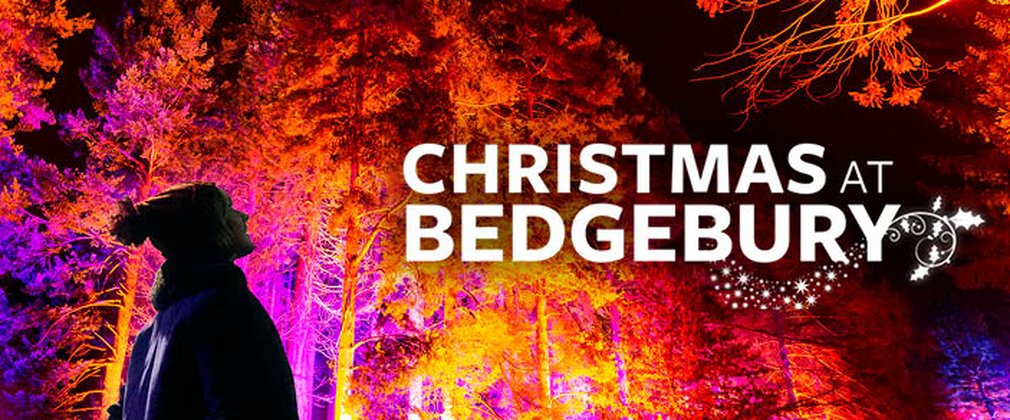 Christmas at Bedgebury 2021 no dates hero image