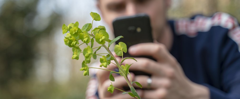 A man using the iNaturalist app 